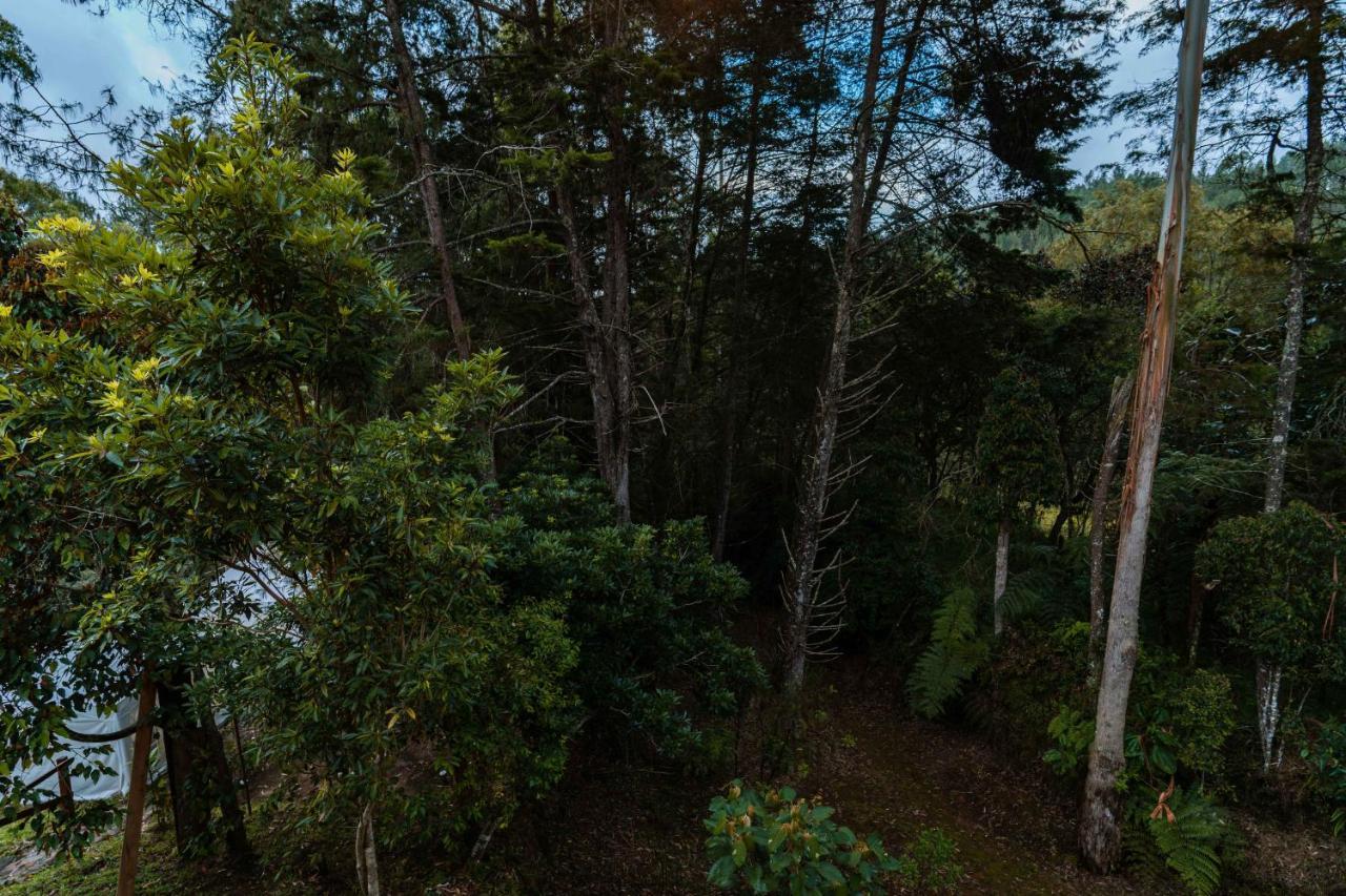 Alma Hotel Campestre 산타 엘레나 외부 사진